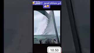 Viral,suara ikan paus di laut alzazir