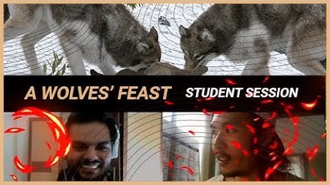 Realistic Wolves - Student Feedback Sessions | Griffin Animation Academy