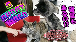 Hqdefault Jpg Sqp Oaymwejcpybeiobsfryq4qpaxuiaruaaaaagaelaadiqj0agkjdeae Rs Aon4clajvu9n9wc9rv0xtnmpgk Nmdx52g