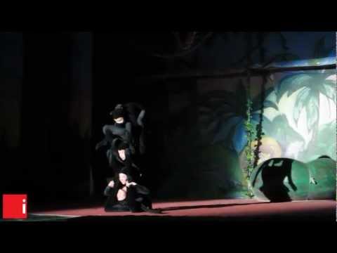 Новая цирковая постановка "Маугли"