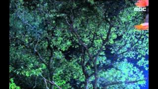 Warrior K, 28회, EP28, #12