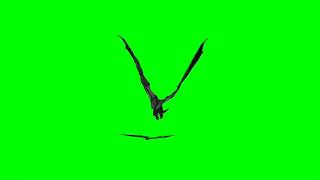 dragon green screen for tiktok