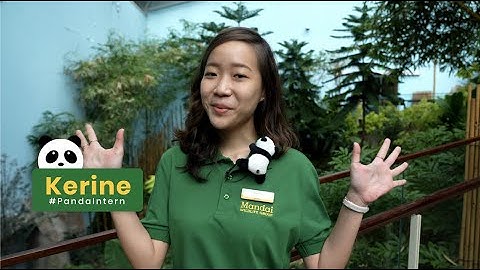 #PandaIntern Ask Me Anything l Your Questions Answered