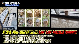 김해연합뉴스 - 시장님 사는 명품아파트 앞 너무 너무 부끄럽고 창피하다