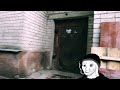 Соломенные Еноты - Враг своего народа (Doomer Wave)