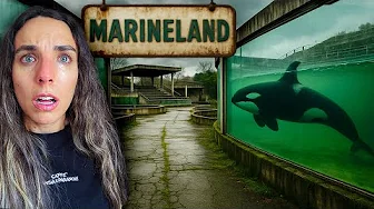 Europe's Largest Aquarium CLOSES, LEAVING Animals INSIDE | Marineland