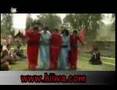 Aziz Wayse 2007 Www Hiiwa Com Aziz Wayse 2007 Www Hiiwa Com