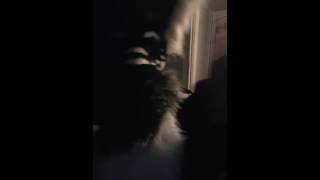 First video in suit! (Spazcat)