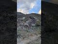 Bighorn rams enjoying a late afternoon on the mountain