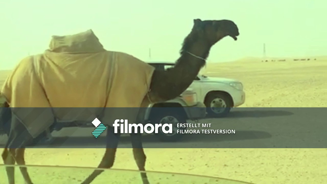 ابل الفاتوح