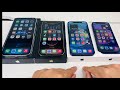 12 Mini vs iPhone 12 vs 12 Pro vs 12 Pro Max (Review)