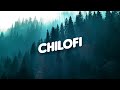 lofi chill music  ♪ relaxing music, studying music, chill out music ♪ best lofi hip hop mix #19