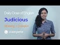 Dailydose english  judicious meaning  verbal lesson