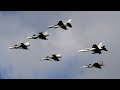 4Kᵁᴴᴰ 3x Saab 39C, Saab 39E, F-16, F/A-18 - Welcome 2 NATO flypast @ NATO Days 2022