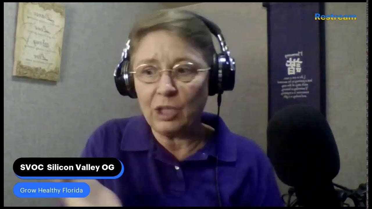 Strain Review SVOG Silicon Valley OG Grow Healthy