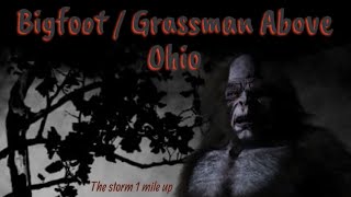 Bigfoot / Grassman Above Ohio