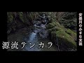 安曇川の小さな名もなき支流【源流テンカラ#8】