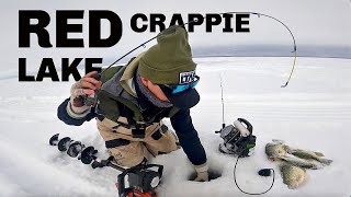 POUNDING RED LAKE CRAPPIES! (Ice Fishing 2024)