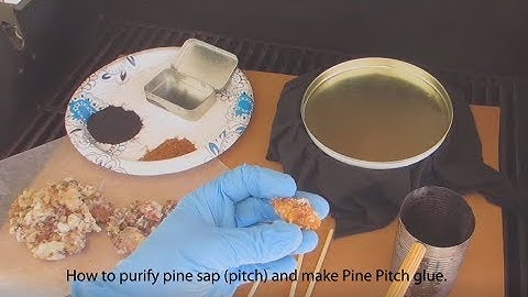 How to purify pine sap (pitch) and make Pine Pitch glue