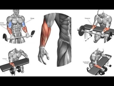 forearms workout / programme musculation avant-bras 
