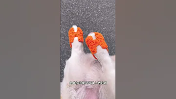 狗日子怎么可能跟谁过都一样 