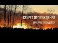 Вечерние посиделки. Секрет пробуждения