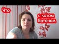 VLOG Что случилось с Батоном