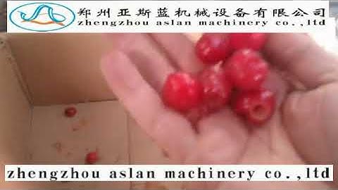 Cherry Core Pitting Machine