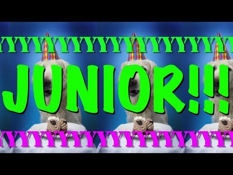 happy-birthday-junior!---epic-happy-birthday-song
