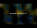 Thanks aquamarine diving  bali  100 aware