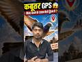 Bina GPS Kabootar Kaise Pahuchta Hai? 😳 (Real Science) || #shorts #facts #pegion #science