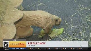 The Sacramento Reptile Show