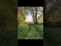 يمكنك ان تسأل الزهور اكسبلور اغاني بدون موسيقى لايك اشتراك بالقناة يمكنك ان تسأل الزهور اكسبلور اغاني بدون موسيقى لايك اشتراك بالقناة