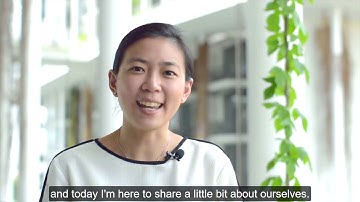 Springboard Programme - One Pager