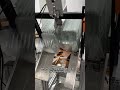 Smart Box Loader#AutomaticPacking#FruitPacking#VegetablePacking #BoxLoader