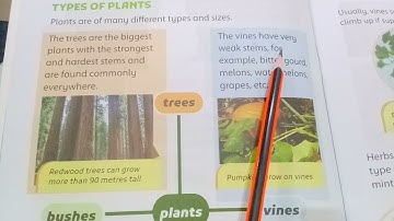 Oxford Supplementary Reading Material Understanding Stem Grade 1 / page 6
