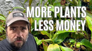 Get More Plants For Less Money: Buying Tips