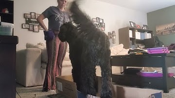 Lisa Vitchers Lesson 1 Assignment 4.2 Video 1