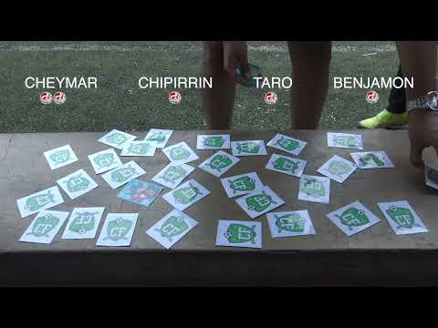 THE CHALLENGE - 2026 WORLD CUP PANINI MEMORY GAME