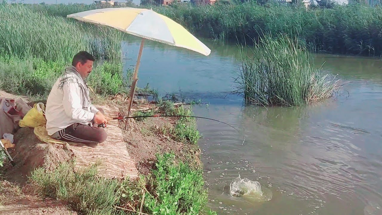 تخيل لما يخوش علي دوار الغله احجام البلطي دي كله( البلطي العجوز)