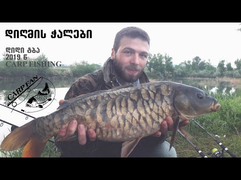კარპფიშინგი. თევზაობა სარკისებრი კობრი