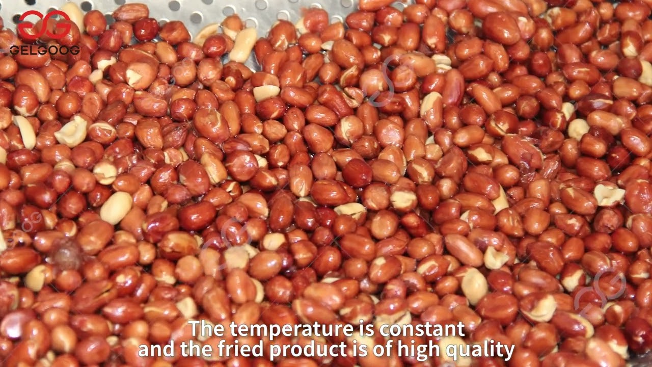 How to make Fried Peanuts? Spicy Peanut Making Machine