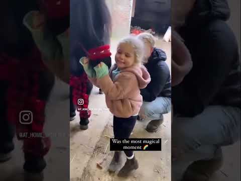 Surprise Christmas present