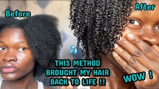 THIS METHOD BROUGHT MY HAIR BACK TO LIFE !| I tried the MAXIMUM HYDRATION METHOD and I’m speechless! screenshot 2