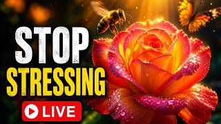 Roses Garden ASMR🌹 Soft Piano Music, Butterflies for Sleep, Study, Stress Relief (LIVE)