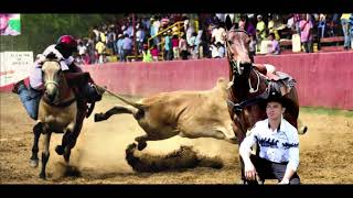 Aquí esta el Arrendajito, Edwin Gómez - El Arrendajito Araucano