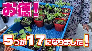 Great value!] Increased by 3.4 times! - YouTube