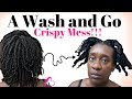 WASH n GO on 4C Natural Hair | I Made a Mess