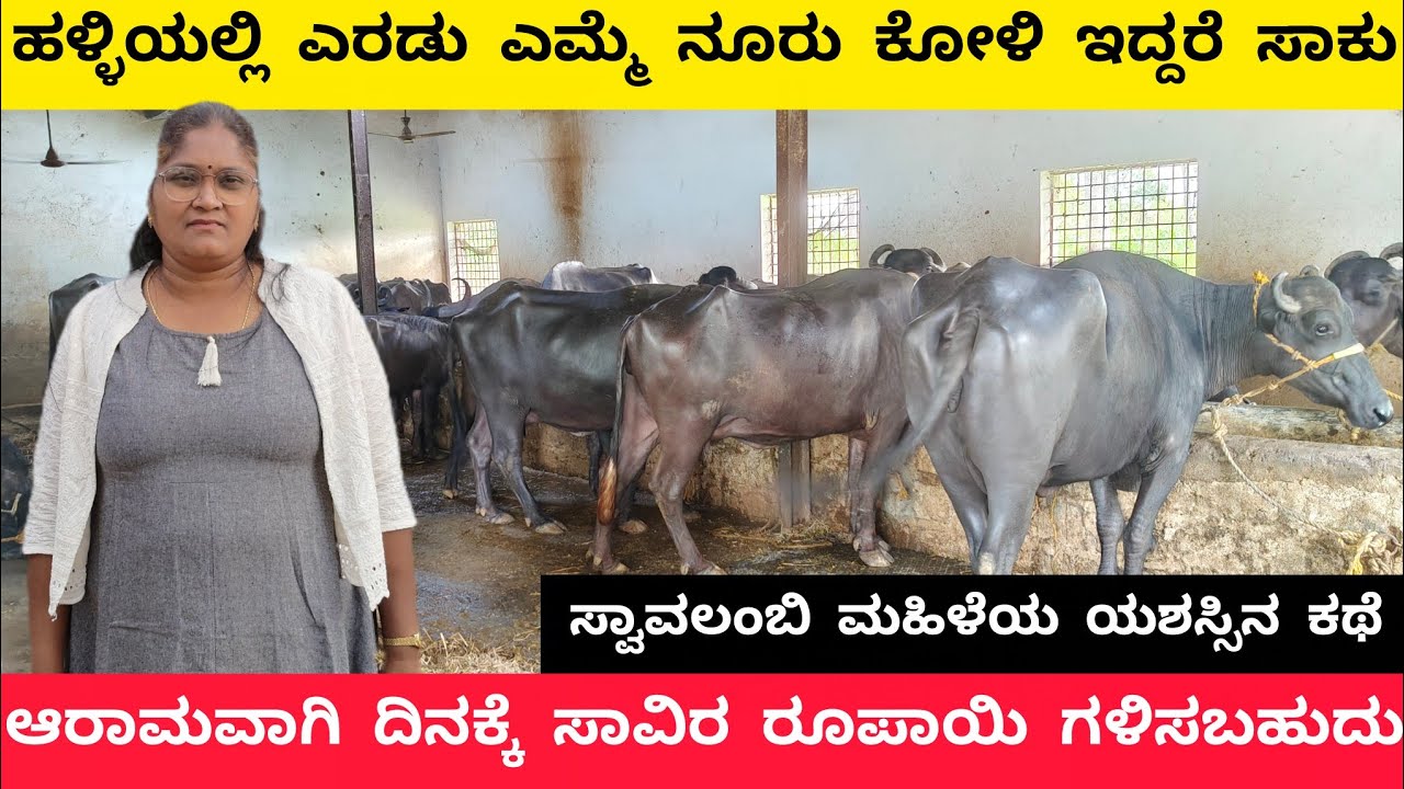 ಎರಡು ಎಮ್ಮೆ, ನೂರು ಕೋಳಿ: ದಿನಕ್ಕೆ ₹1000 ಆದಾಯದೊಂದಿಗೆ ಹಳ್ಳಿಯಲ್ಲಿ ಯಶಸ್ಸು ಕಂಡ ಮಹಿಳೆ!  Daily Success Story!