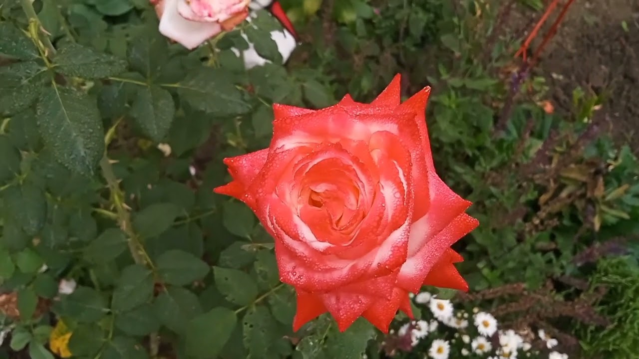 З Вами було приємно.🤗🤗🤗 Але... Вибачте мене.🙏🙏🙏